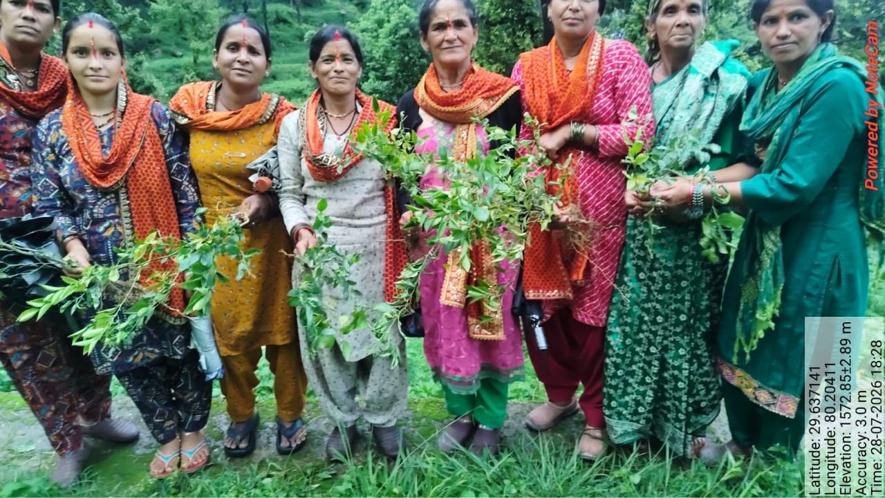 Fruit Sapling Distribution Drive